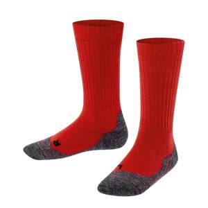FALKE Športové ponožky 'Active Warm'  sivá melírovaná / červená / čierna