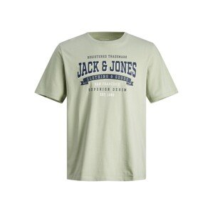 JACK & JONES Tričko  námornícka modrá / pastelovo zelená / biela