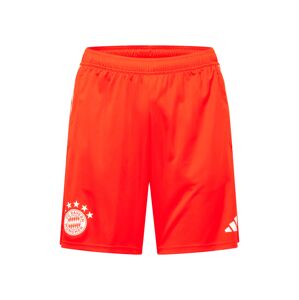 ADIDAS PERFORMANCE Športové nohavice 'FC Bayern München'  oranžovo červená / biela