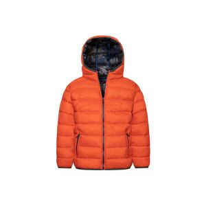 MINOTI Zimná bunda  oranžová