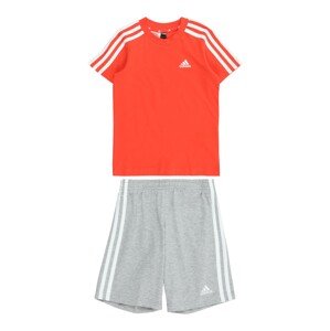 ADIDAS SPORTSWEAR Tréningový komplet 'Essentials'  sivá melírovaná / oranžovo červená / biela