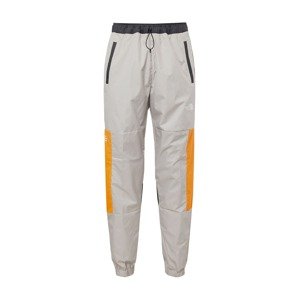 THE NORTH FACE Športové nohavice  sivá / oranžová / čierna / biela