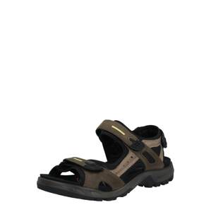 ECCO Trekingové sandále 'Offroad'  farby bahna / čierna