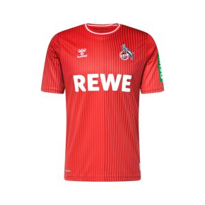 Hummel Funkčné tričko 'FC Köln 23-24 Auswärts'  modrá / zelená / červená / biela