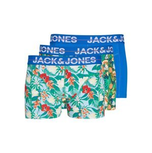 JACK & JONES Boxerky 'PINEAPPLE'  modrá / svetlomodrá / sivá / zelená / svetločervená / biela