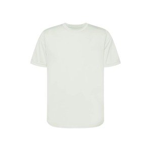 ADIDAS SPORTSWEAR Funkčné tričko 'Designed 4 Running'  pastelovo zelená / biela