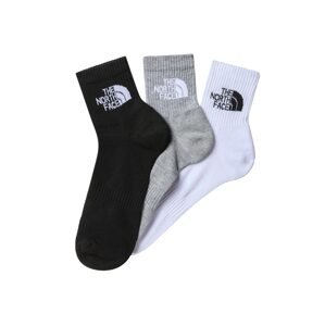 THE NORTH FACE Športové ponožky  sivá / čierna / biela