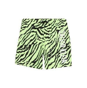 Calvin Klein Swimwear Plavecké šortky  neónovo zelená / čierna / biela