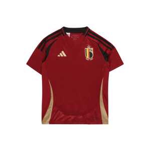 ADIDAS PERFORMANCE Funkčné tričko 'Belgium 24 Home'  béžová / žltá / červená / čierna
