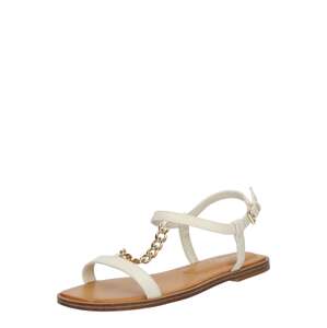 ALDO Remienkové sandále 'ETHOREGAN'  zlatá / biela