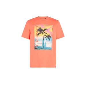 O'NEILL Tričko  zmiešané farby / koralová
