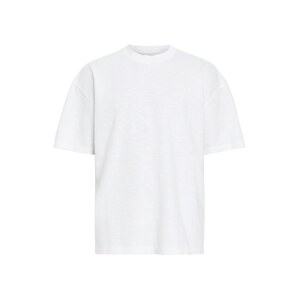 AllSaints Tričko 'ASPEN'  biela