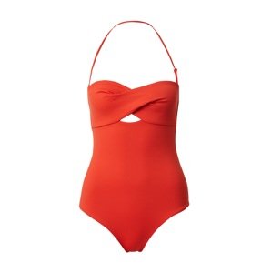 Calvin Klein Swimwear Jednodielne plavky  homárová