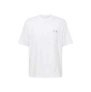 Abercrombie & Fitch Tričko  pastelovo zelená / svetlozelená / biela
