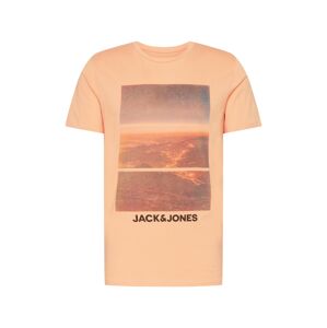 JACK & JONES Tričko 'BILLBOARD'  zmiešané farby / broskyňová