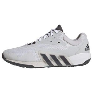 ADIDAS PERFORMANCE Športová obuv 'Dropset'  svetlosivá / čierna / biela