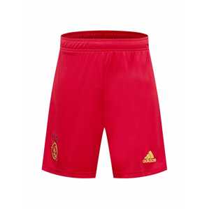 ADIDAS SPORTSWEAR Športové nohavice 'AJAX'  zmiešané farby / červená