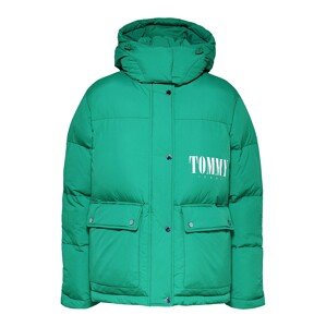 Tommy Jeans Zimná bunda  námornícka modrá / trávovo zelená / červená / biela