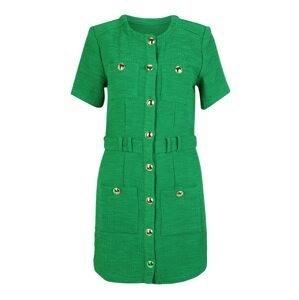 ONLY Košeľové šaty 'AUBURN ARIZA'  trávovo zelená