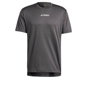 ADIDAS TERREX Funkčné tričko 'Multi'  čierna / strieborná