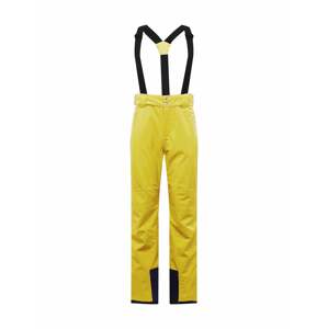 DARE2B Športové nohavice 'Achieve II'  žltá / čierna