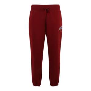 Nike Sportswear Nohavice  námornícka modrá / karmínovo červená / biela