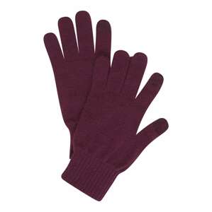 LEVI'S ® Prstové rukavice 'BEN'  farba lesného ovocia
