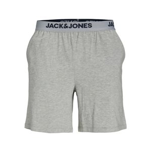 JACK & JONES Pyžamové nohavice 'AARON'  svetlosivá / čierna