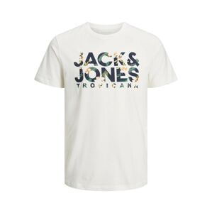 JACK & JONES Tričko 'BECS'  námornícka modrá / svetlozelená / biela