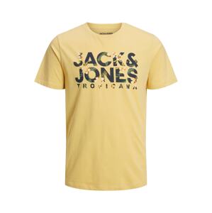 JACK & JONES Tričko 'Becs'  námornícka modrá / žltá / zelená / biela