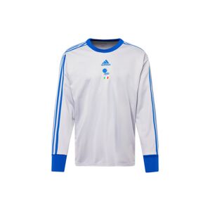 ADIDAS SPORTSWEAR Dres 'Italy Goalkeeper'  modrá / svetlosivá / zelená / biela