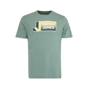 Jack & Jones Plus Tričko  pastelovo zelená / zmiešané farby