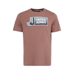 Jack & Jones Plus Tričko  námornícka modrá / dymovo modrá / farba lesného ovocia / šedobiela