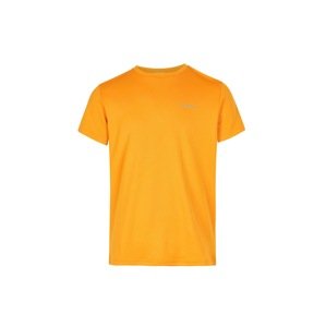 O'NEILL Tričko  zlatá žltá / striebornosivá
