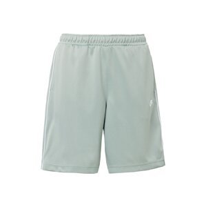 Nike Sportswear Nohavice  pastelovo zelená / biela