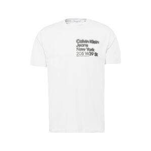 Calvin Klein Jeans Tričko  sivá / svetlosivá