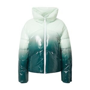 GUESS Zimná bunda 'ELEONORE'  smaragdová / jedľová / pastelovo zelená
