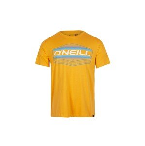 O'NEILL Tričko  svetlomodrá / medová / biela