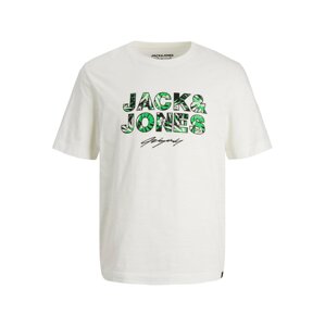 JACK & JONES Tričko  trávovo zelená / čierna / biela melírovaná