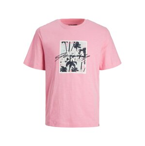 JACK & JONES Tričko  pastelovo modrá / s ružovými fľakmi / čierna / šedobiela