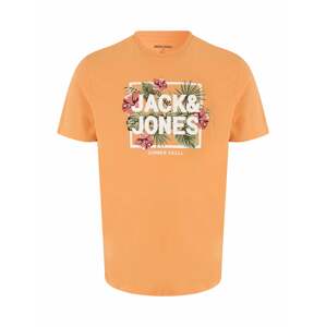 Jack & Jones Plus Tričko 'BECS'  tmavozelená / oranžová / staroružová / šedobiela