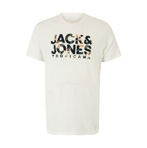 Jack & Jones Plus Tričko 'BECS'  tmavomodrá / tmavozelená / broskyňová / biela