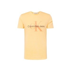 Calvin Klein Jeans Tričko  oranžová / svetlooranžová / čierna