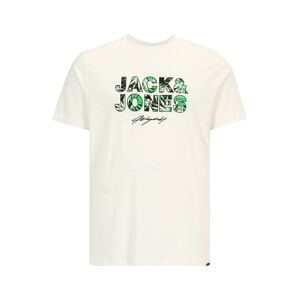 Jack & Jones Plus Tričko 'Tulum'  zelená / ružová / čierna / biela
