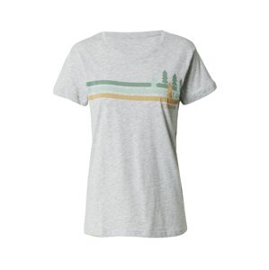 ICEPEAK Funkčné tričko 'MEREDITH'  svetlohnedá / sivá melírovaná / zelená / mätová