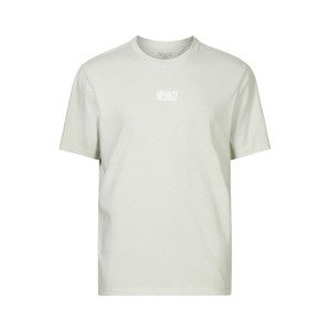 AllSaints Tričko  svetlosivá / biela