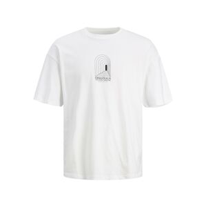 JACK & JONES Tričko 'Destiny'  zmiešané farby / biela