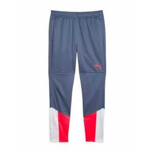PUMA Športové nohavice 'IndividualCUP'  modrosivá / červená / biela