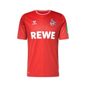 Hummel Dres 'FC Köln 23-24 Auswärts'  modrá / zelená / červená / biela
