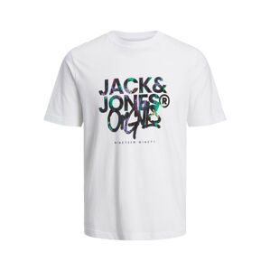 JACK & JONES Tričko 'SILVER LAKE'  zelená / farba lesného ovocia / čierna / biela